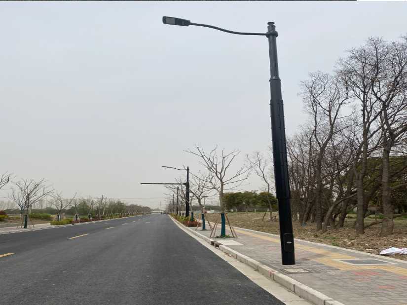 奉化区上海综合杆 太阳能路灯工程